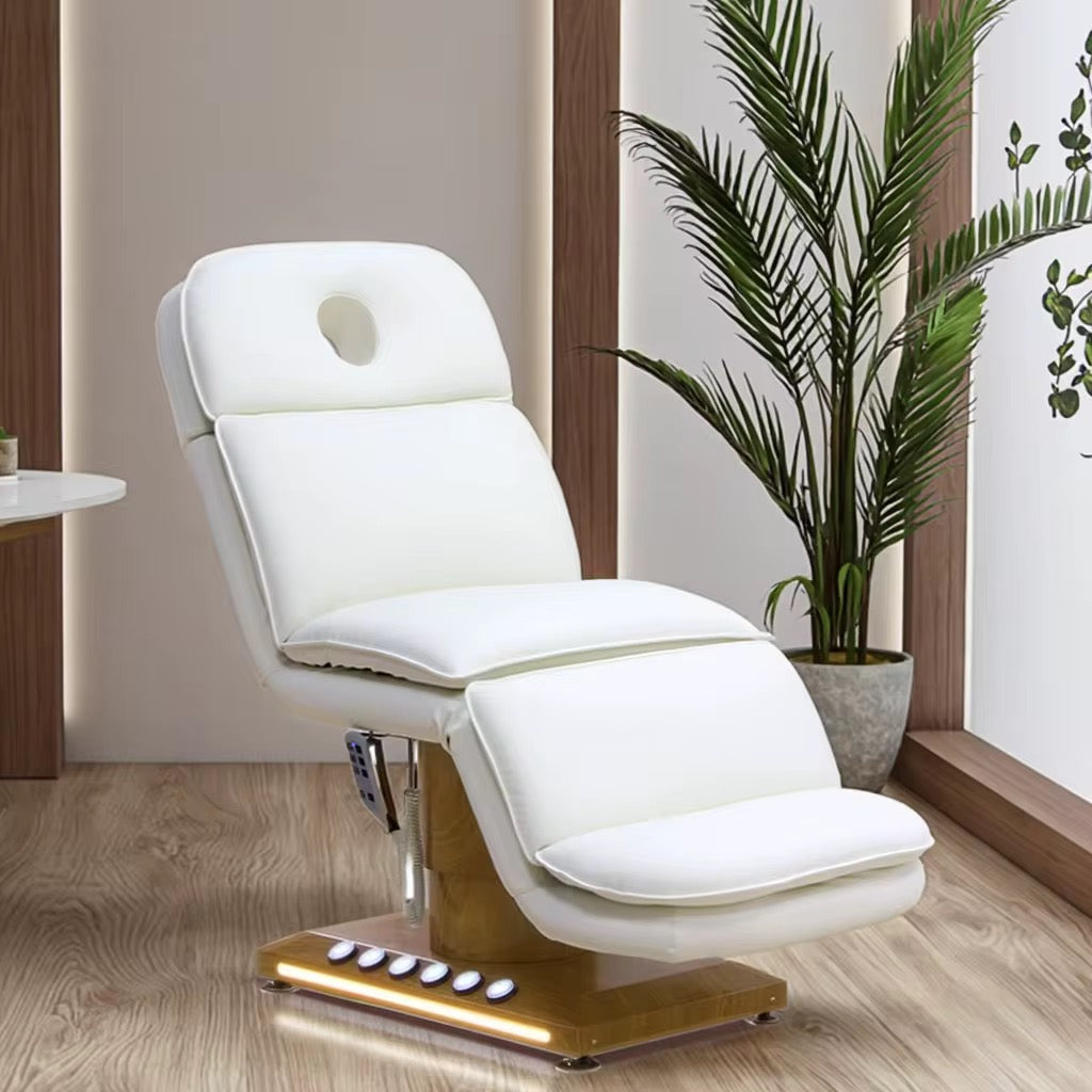 Professional salon treatment chair with remote pedal control and multiple color finishes